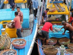 Nelayan Sulit Melaut Ekses Cuaca Ekstrem, Harga Ikan di Sabang Naik, Penjual di Rumah Makan Mengeluh