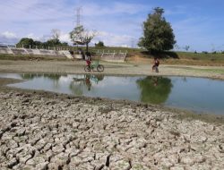 Update Cuaca Aceh Selatan 6 Juli 2025: 18 Kecamatan Dominan Berawan, Suhu Capai 29 Derajat Celcius