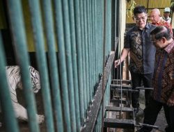 Jakarta Uji Coba Ragunan Malam, PSI Ingatkan Potensi Beban APBD 2026